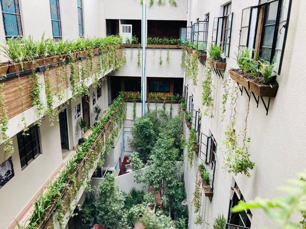 Frontera 49 Roma Norte Hostal Kota Meksiko Bagian luar foto