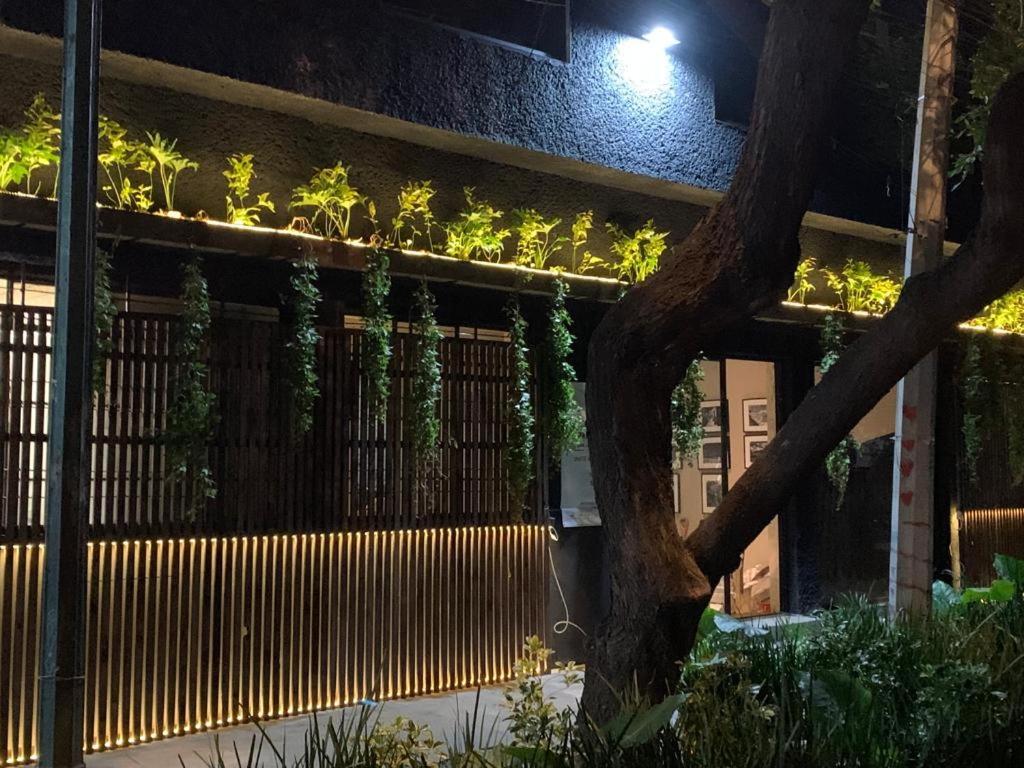 Frontera 49 Roma Norte Hostal Kota Meksiko Bagian luar foto