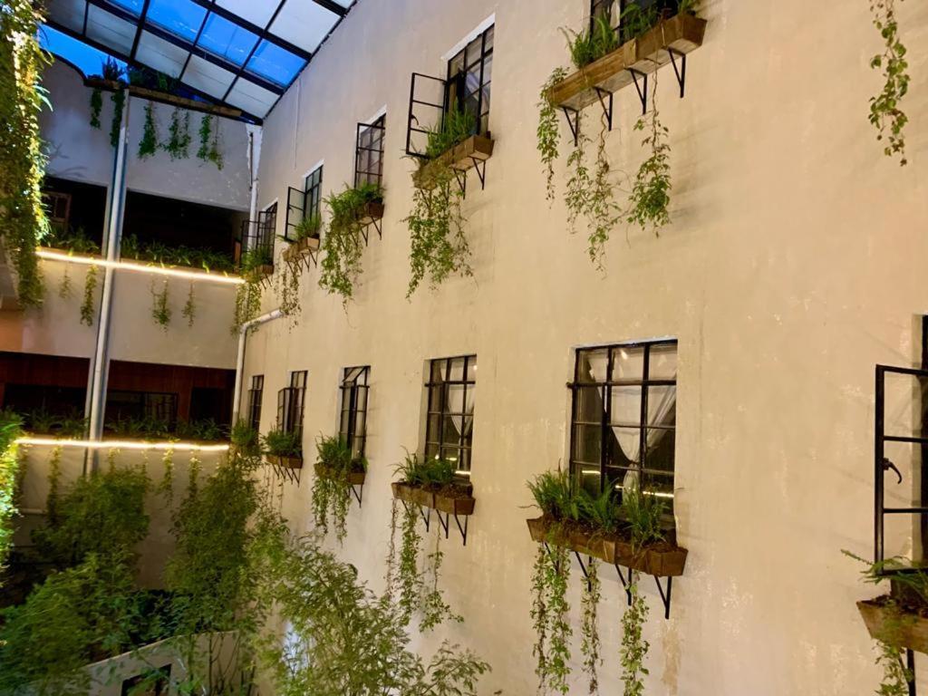Frontera 49 Roma Norte Hostal Kota Meksiko Bagian luar foto
